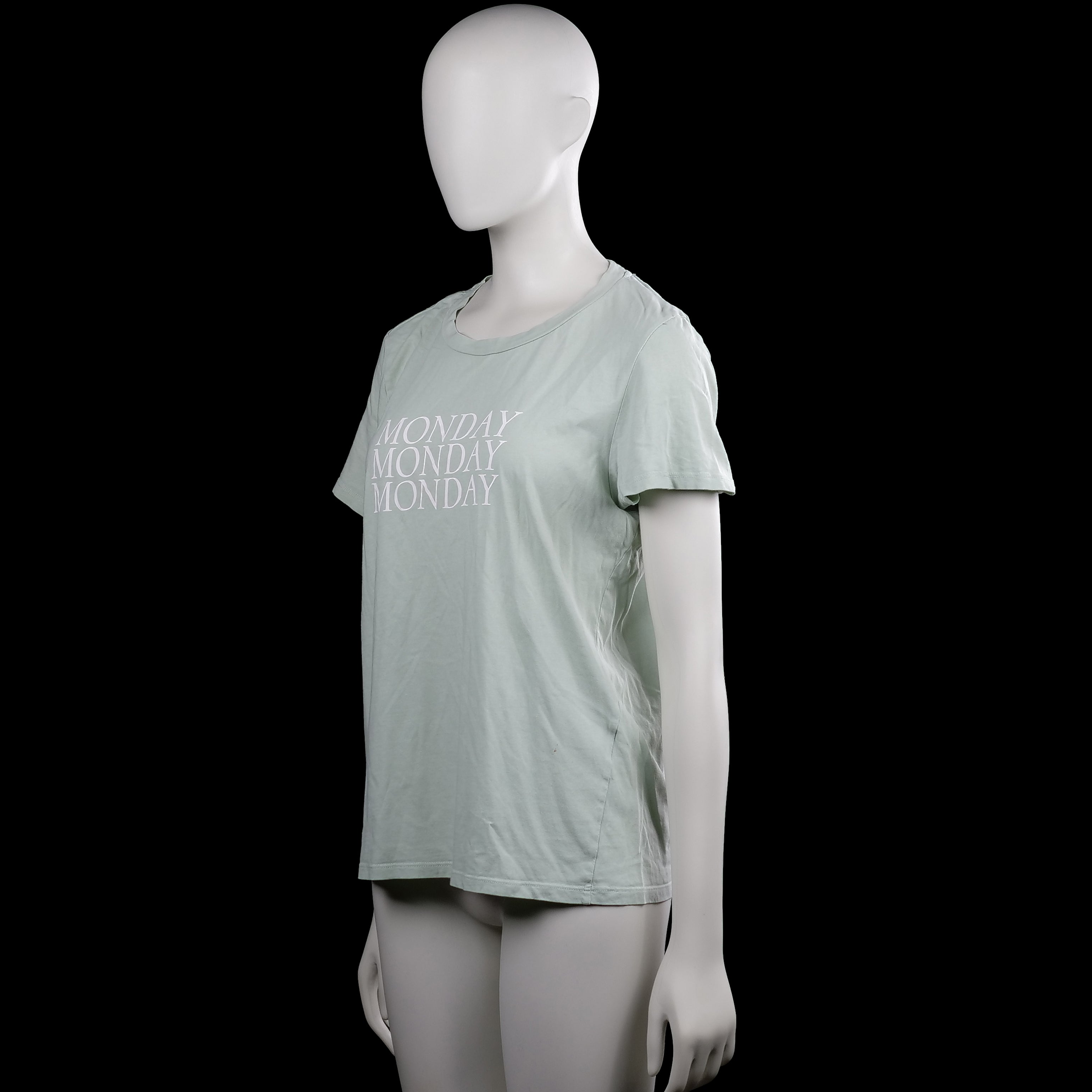 T-shirt - Sage & White - Size XL